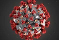 Продолжается проведение комплекса противоэпидемических мероприятий