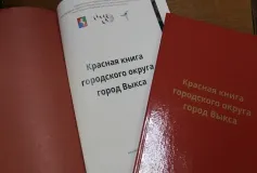 В архив организационно-правового отдела передана на хранение «Красная книга городского округа город Выкса»