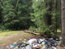 В 2019 году на ликвидацию несанкционированных свалок из бюджета городского округа город Выкса было направлено 2,4 миллиона рублей