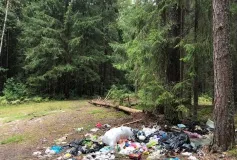 В 2019 году на ликвидацию несанкционированных свалок из бюджета городского округа город Выкса было направлено 2,4 миллиона рублей