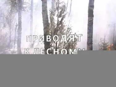 Лесной пожар