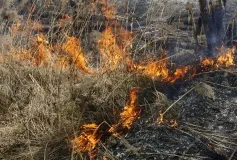 Памятка о запрете сжигания сухой травы