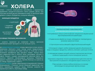 Памятка по профилактике холеры