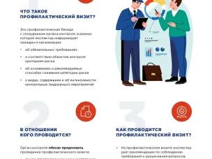 Профилактический визит