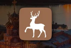 Оформляйте заявку на выход из дома на сайте nn-card.ru или по бесплатному телефону 8-800-4444-112