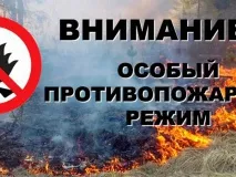 В городском округе город Выкса Нижегородской области установлен особый противопожарный режим
