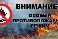 В городском округе город Выкса Нижегородской области установлен особый противопожарный режим