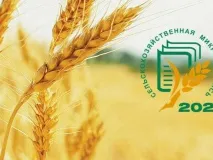 До Всероссийской переписи осталось 25 дней