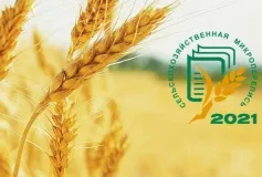 До Всероссийской переписи осталось 25 дней