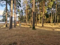В соответствии с Постановлением Правительства Нижегородской области № 868, в регионе снят особый противопожарный режим