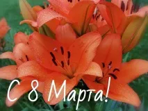 Дорогие женщины городского округа город Выкса!