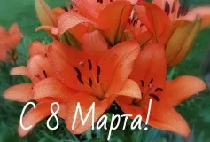 Дорогие женщины городского округа город Выкса!