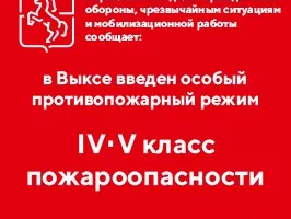 Установлен IV-V класс пожароопасности. Посещение лесов запрещено