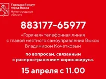 15 апреля состоится «горячая» телефонная линия с главой местного самоуправления Выксы Владимиром Кочетковым по вопросам, связанным с распространением коронавируса