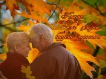 Уважаемые выксунцы! Ветераны войны и труда, люди старшего поколения. Примите самые искренние поздравления с Международным Днем пожилых людей!