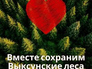 С 1 апреля на территории Выксунского городского округа введен особый противопожарный режим
