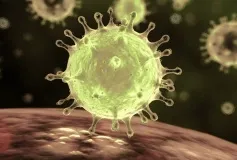 Новый подтвержденный случай заражения коронавирусом в регионе – завозной