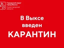 На территории Выксы введен карантин