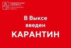 На территории Выксы введен карантин