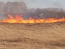 Опасность травяных палов в весенний период