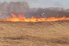 Опасность травяных палов в весенний период