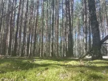Памятка для грибников