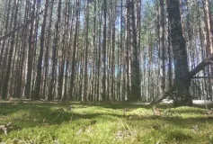 Памятка для грибников